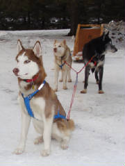 sledding4.jpg